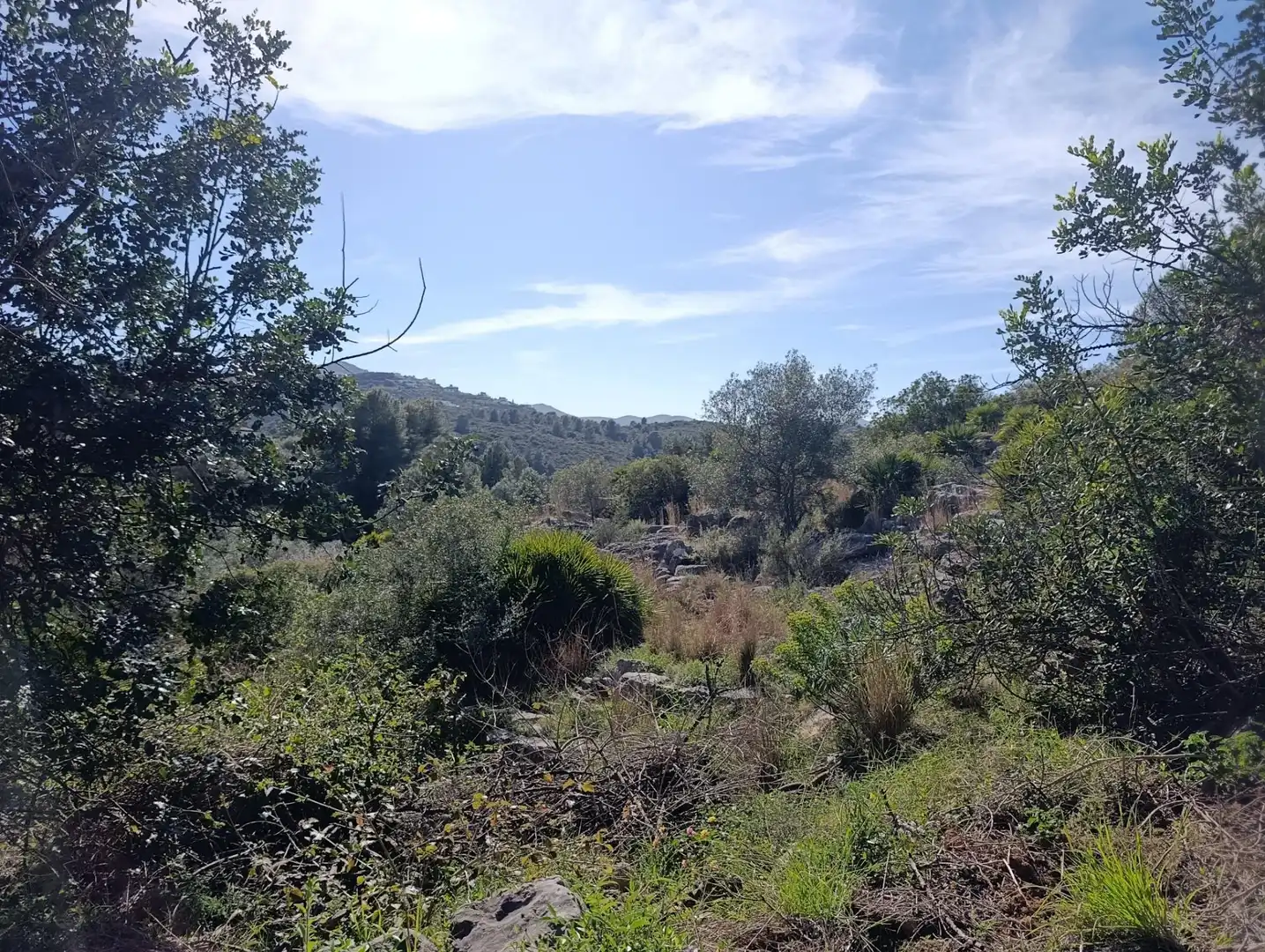 Wohnbaugrundstück zum Verkauf in El Ràfol d'Almúnia, imagen 2