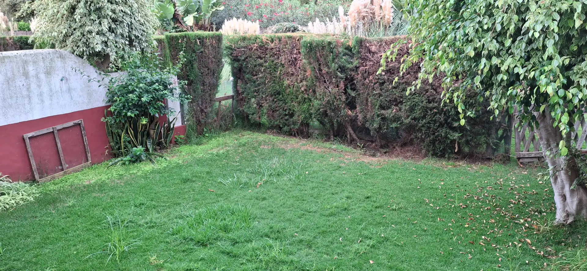 Casa a schiera con piscina in vendita a Calle Orquídea 6, imagen 3