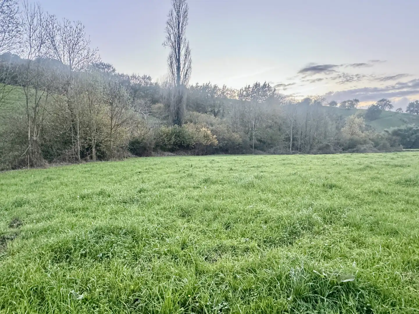 Rural land for sale in Villafufre - VILLAFUFRE, imagen 5