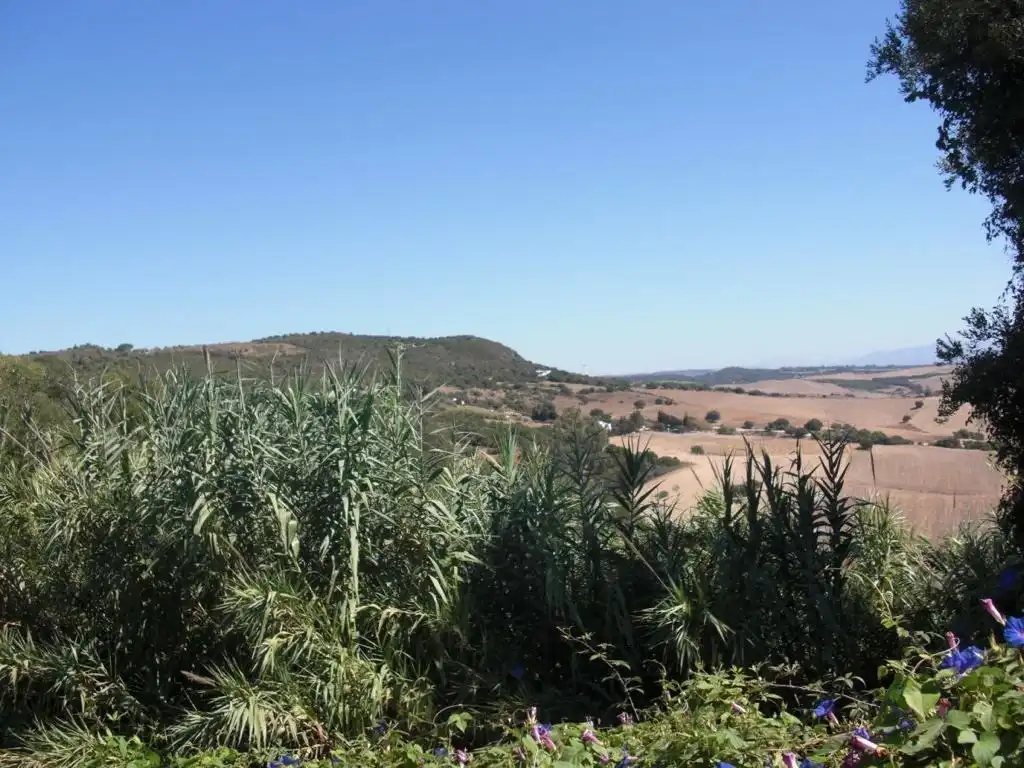 Terreni e lotti in vendita a Vejer, imagen 6