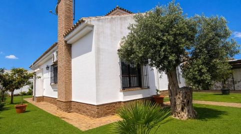 Foto 3 de Casa o xalet en venda a Los Gallos, Chiclana de la Frontera