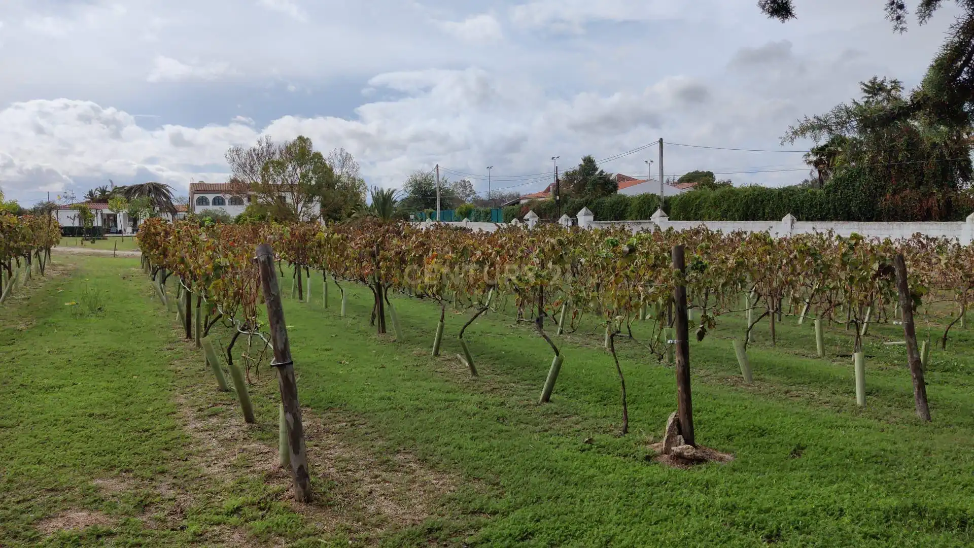 Casa o xalet en venda a FN VIÑAS MATACACERES (CÁCERES), -1, Ruta de la Plata