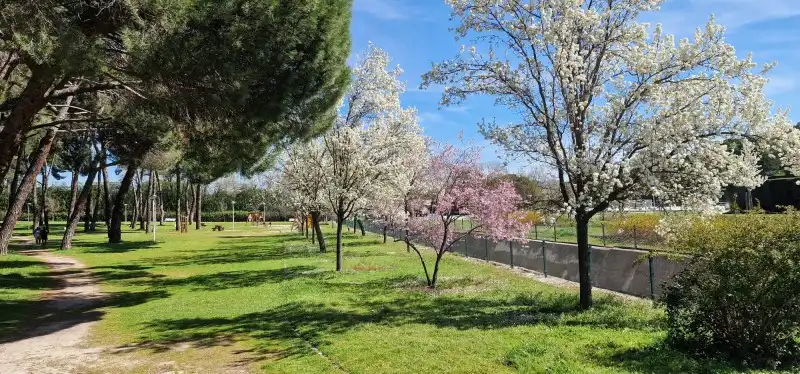 Piso con piscina en venta en Moncloa - Aravaca, imagen 45