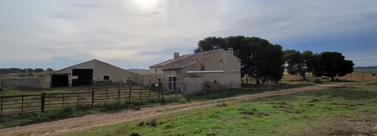 Rustikales Grundstück zum Verkauf in Av. Ntra. Sra. de la Asunción, imagen 7