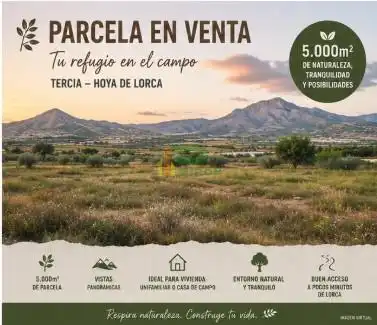 Lands and plots for sale in Pedanías Centro