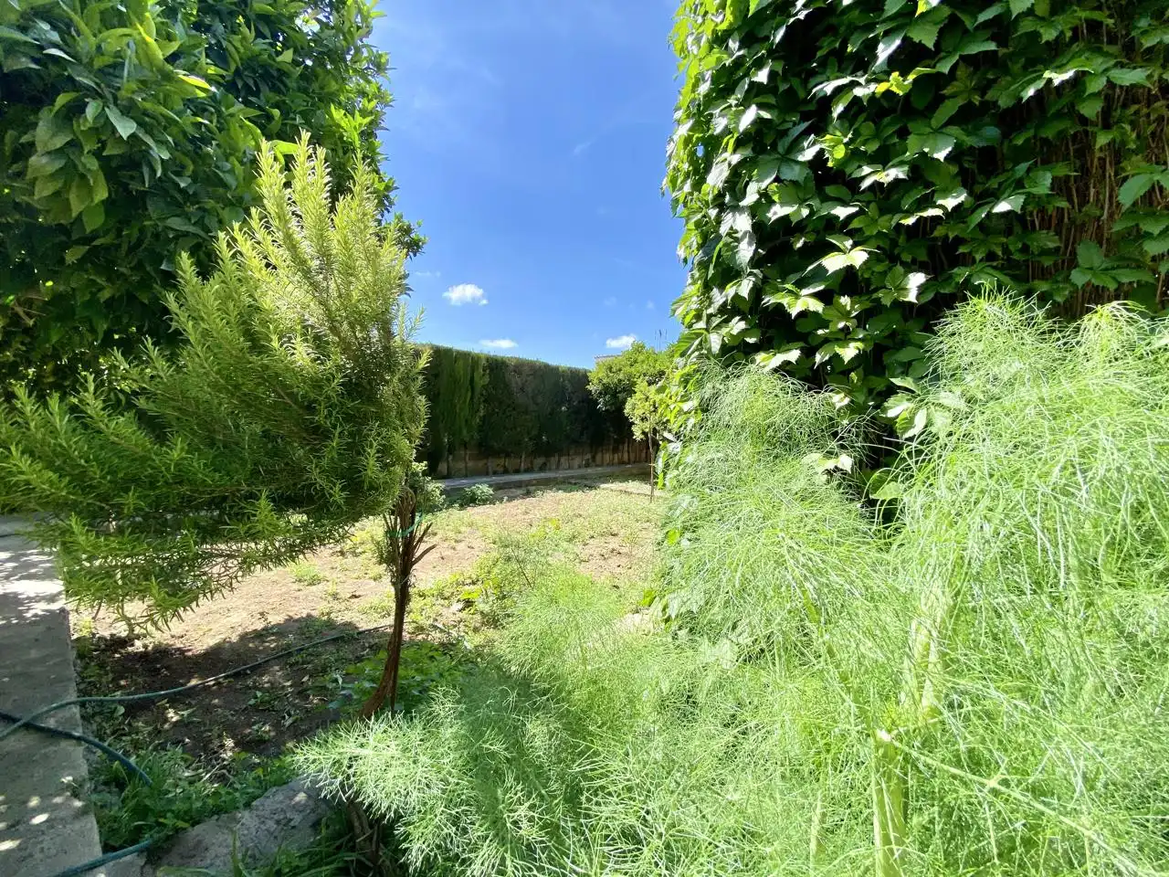 Garten von Haus oder Chalet zum Verkauf in  Palma de Mallorca mit Privatgarten, Terrasse und Abstellraum