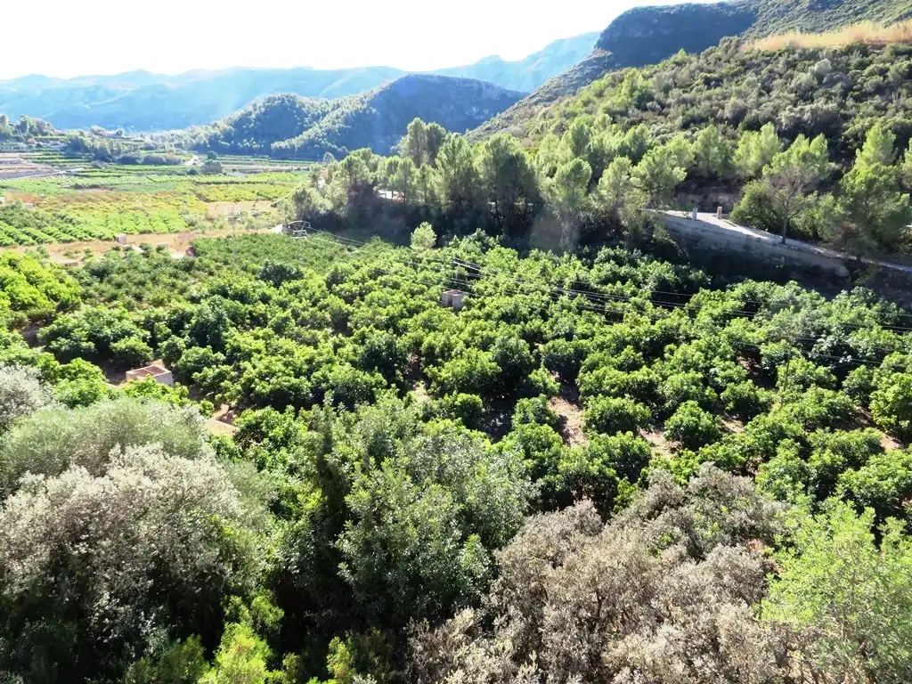 Casa o xalet en venda en L'Atzúbia amb Jardí privat, Terrassa i Traster