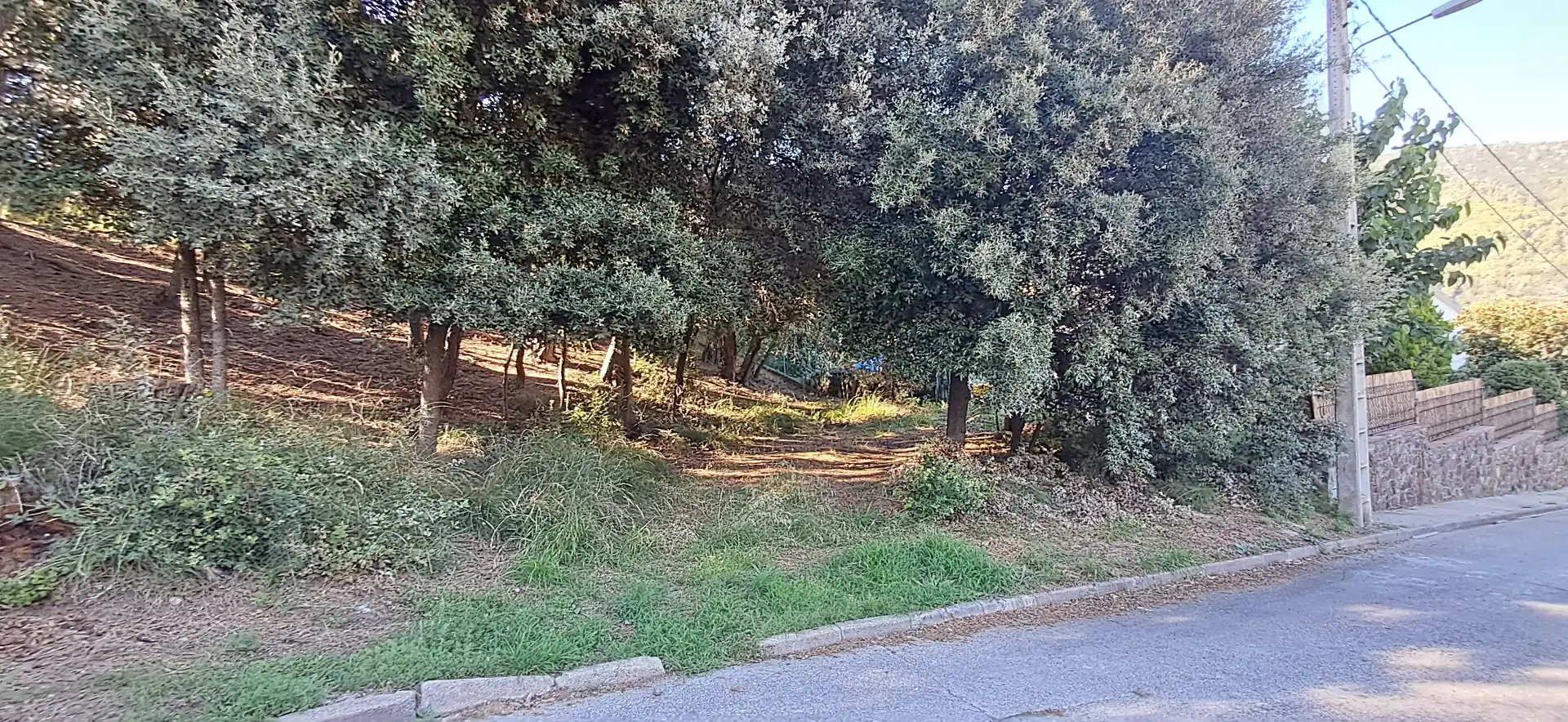 Wohnbaugrundstück zum Verkauf in Carrer de l'Oriol 12, imagen 2