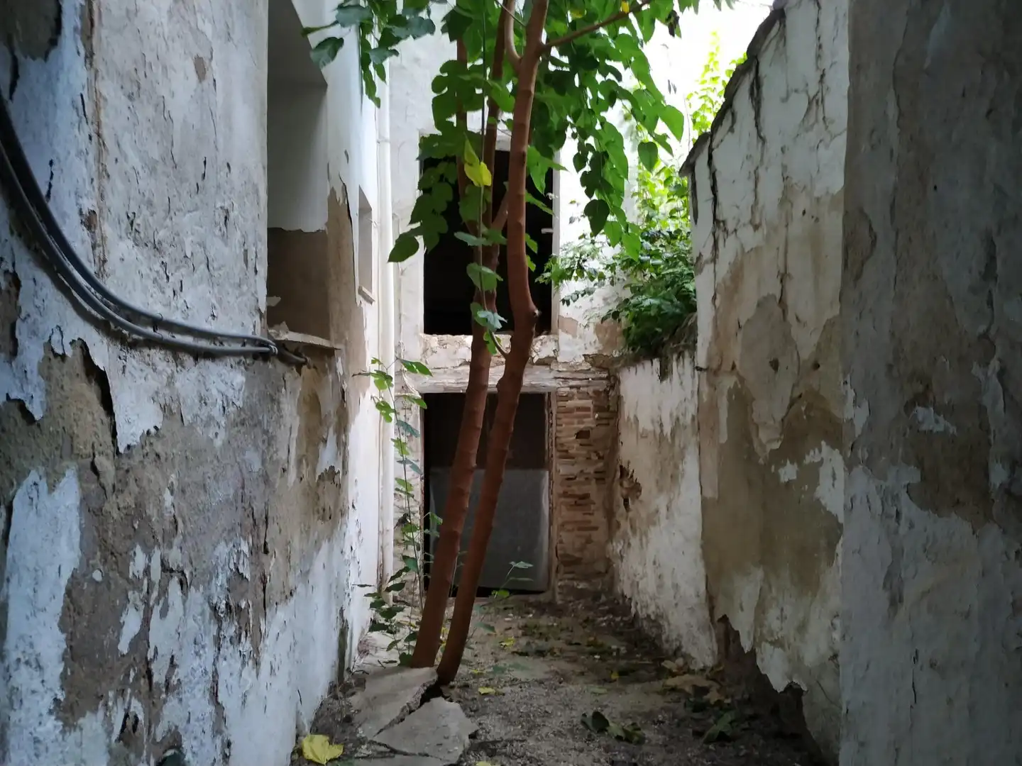 Maison rustique à vendre à Mogente / Moixent, imagen 6