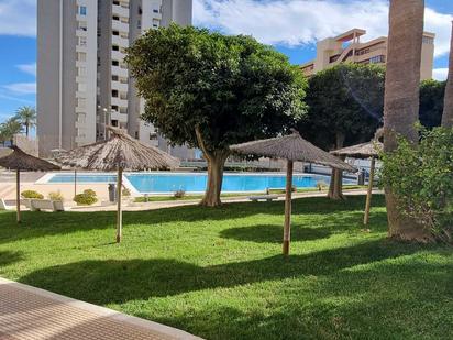 Swimming pool of Flat for sale in Alicante / Alacant  with Terrace, Oven and Community pool