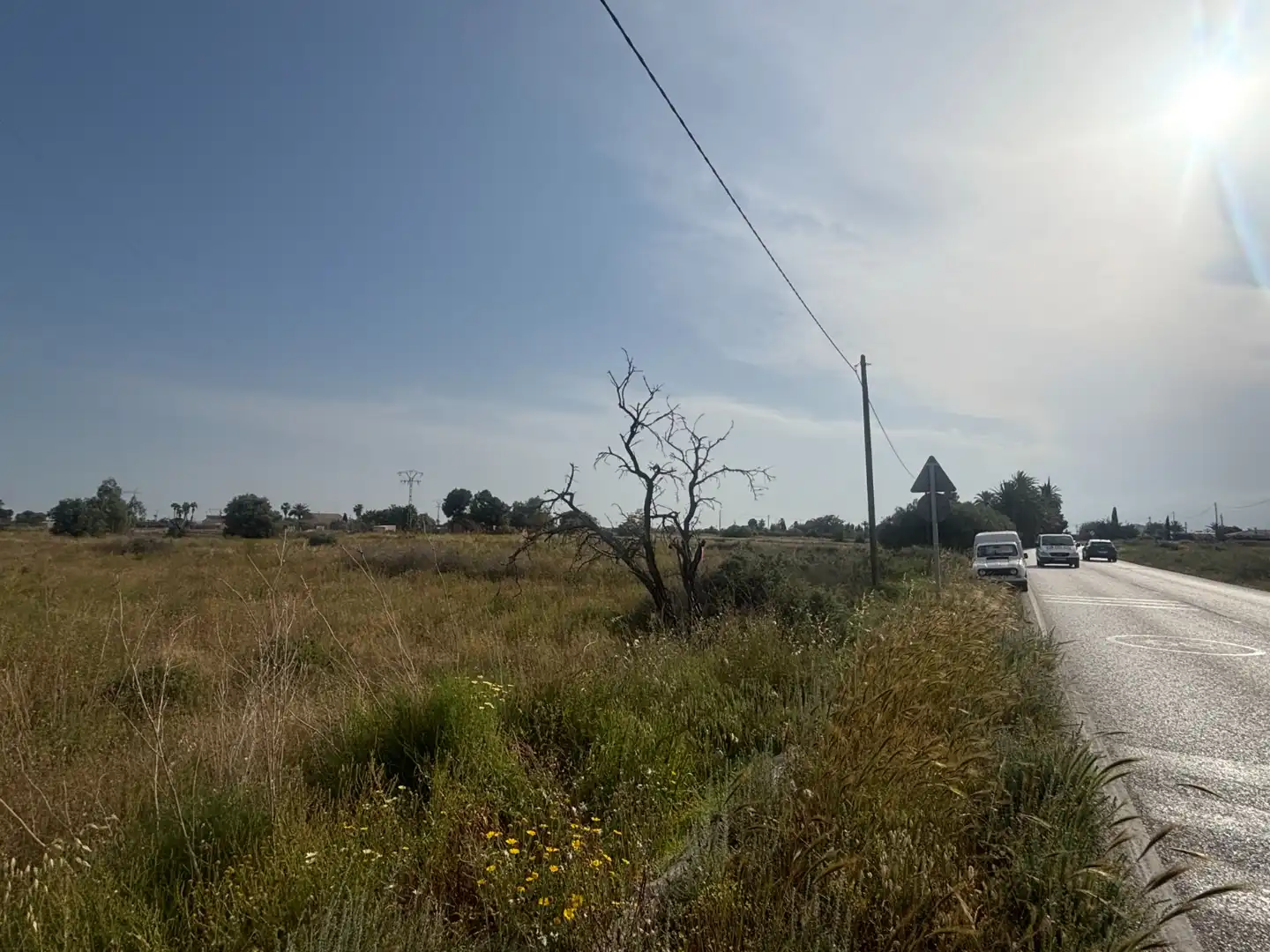 Grundstücke zum Verkauf in Elche / Elx