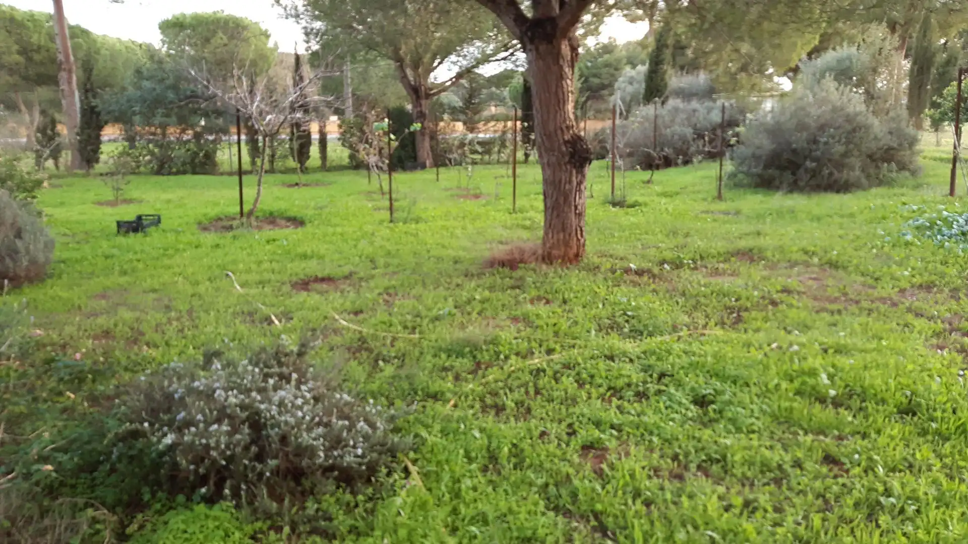 Jardín de Casa o chalet en venta en Puerto Real