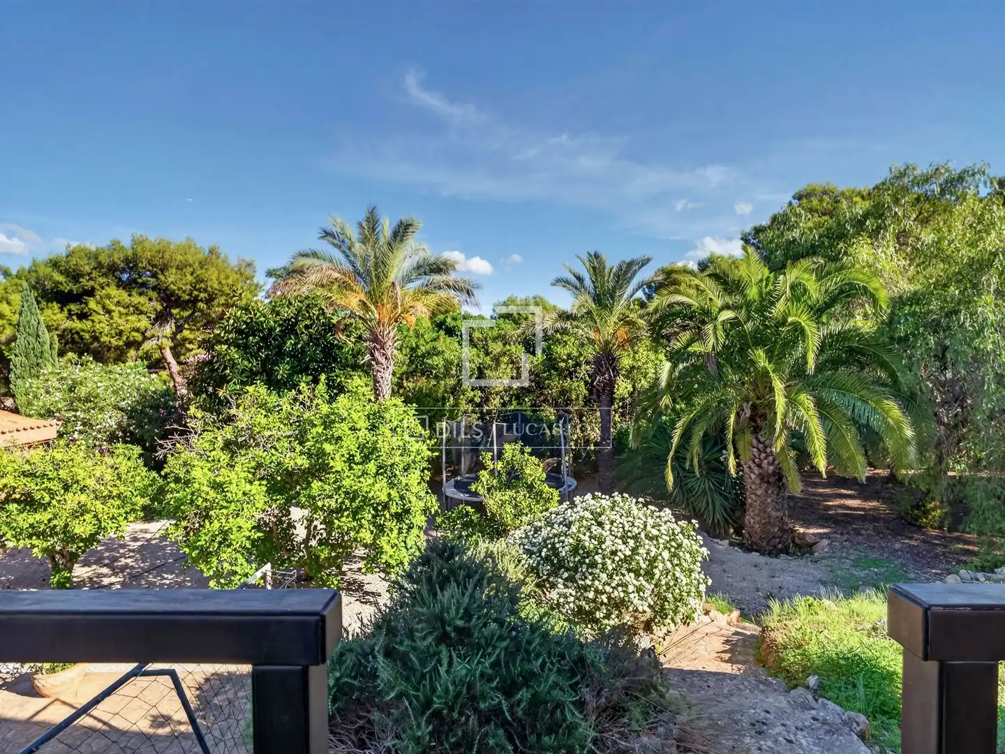 Garden of Houses for sale in Santa Ponça