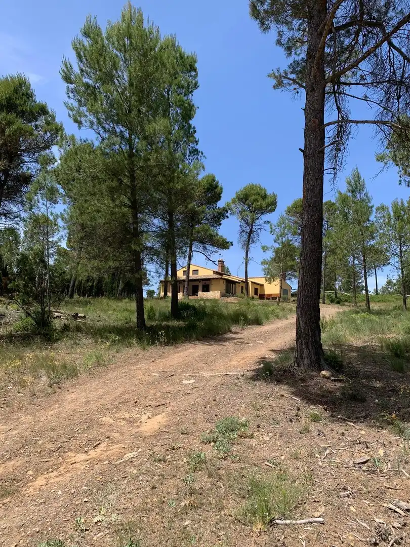 Country homes for sale in Cortes de Pallás  with Heating and Swimming Pool