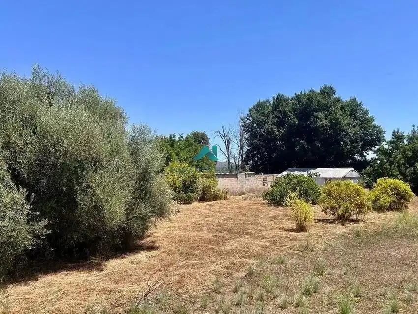 Residencial en venda en Algímia de Alfara