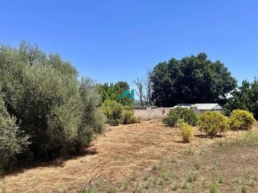 Terreno residencial en venta en Algímia de Alfara