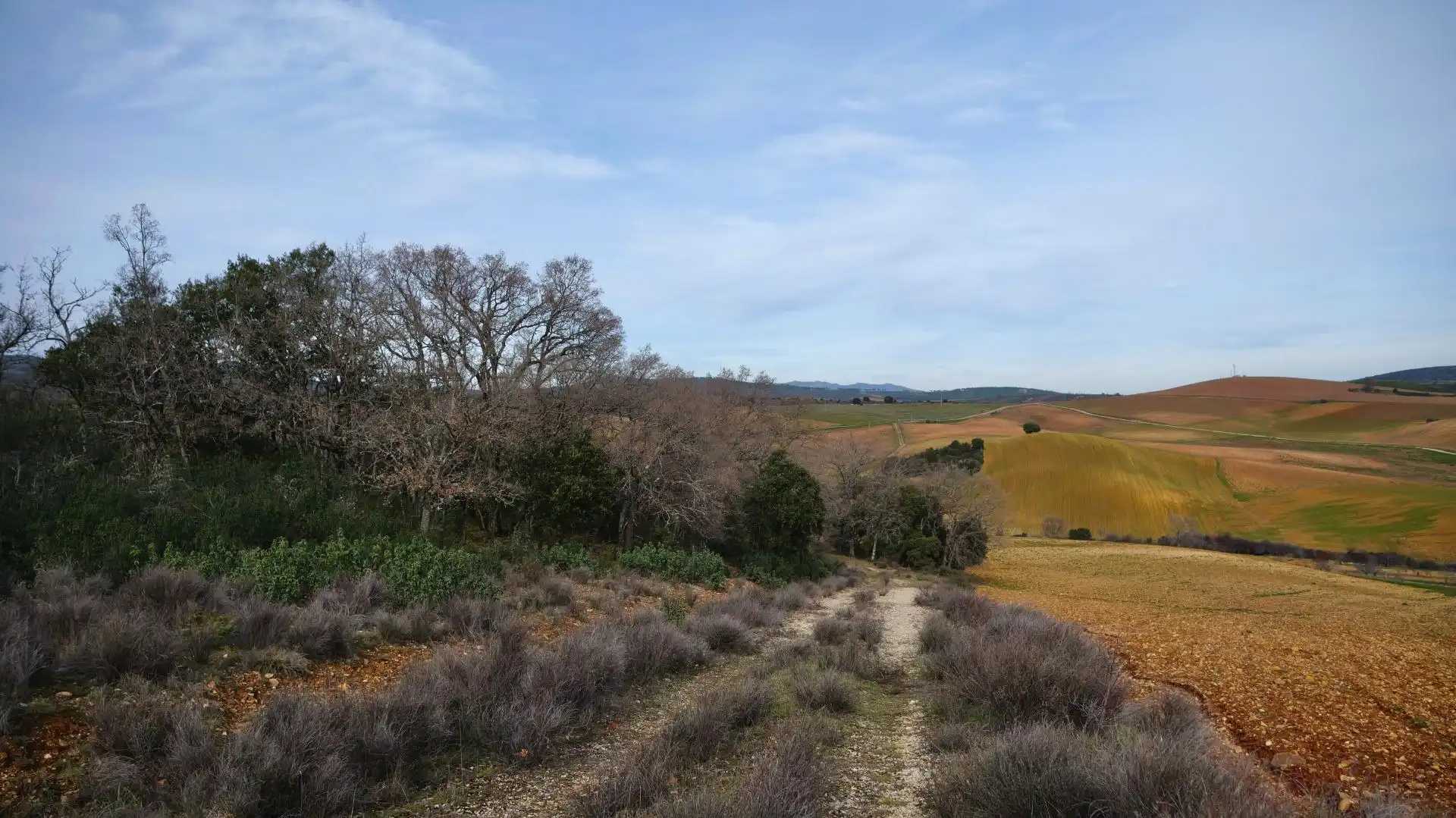 Land for sale in Arbancón