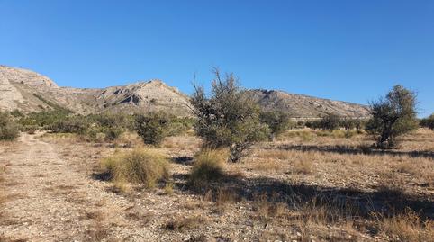 Foto 5 de Residencial en venta en Partida la Solana, San Francisco, Alicante