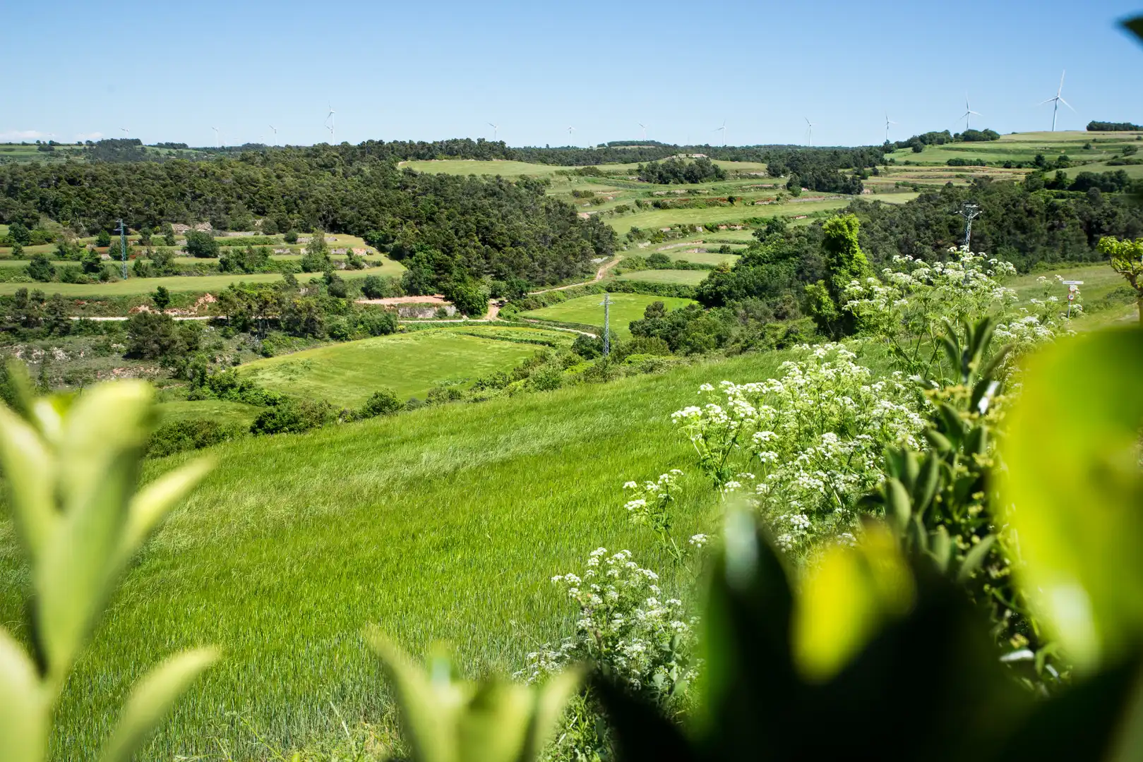 Finca rústica en venta en Passanant i Belltall con Calefacción, Parquet y Terraza