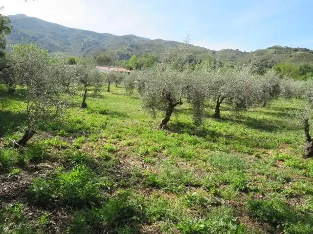 Terreno en venta en Cenes de la Vega