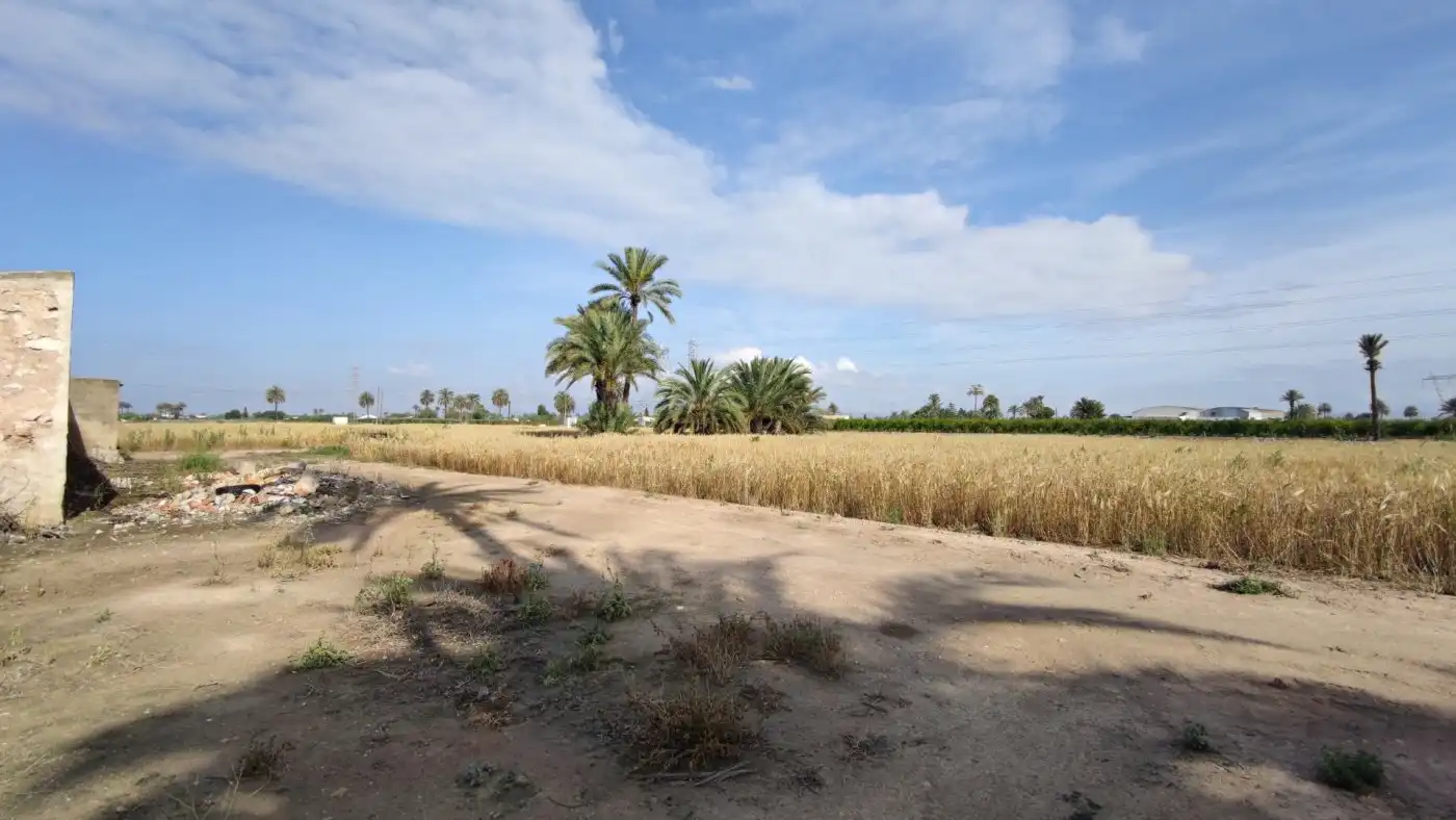 Villa con giardino in vendita a La Foia - Daimés - Asprella, imagen 9
