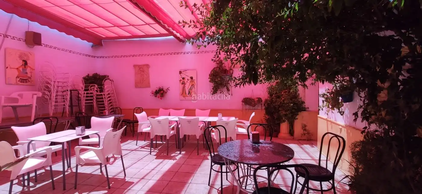 Local comercial en venta en Avenida José Simón de Lillo 35, imagen 16