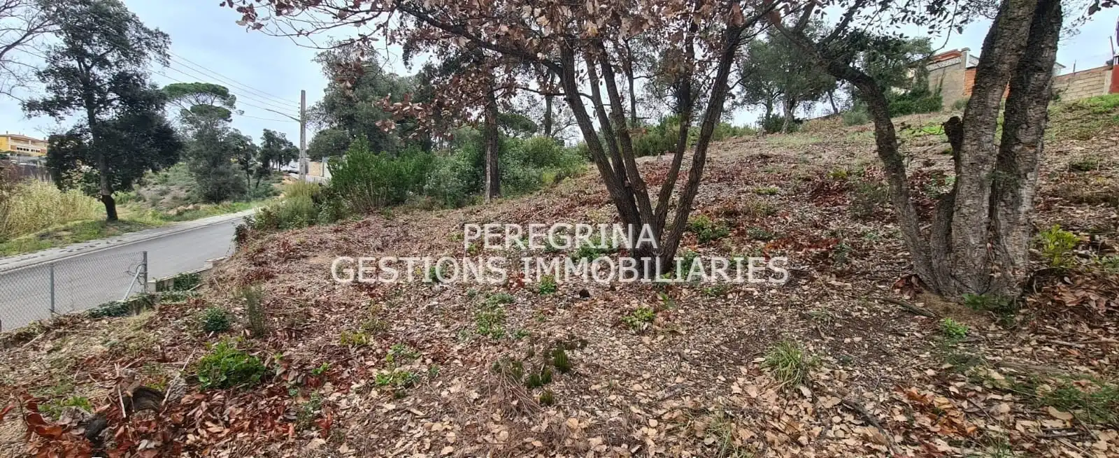 Wohnbaugrundstück zum Verkauf in Carrer Francesc Macíà 19, imagen 7
