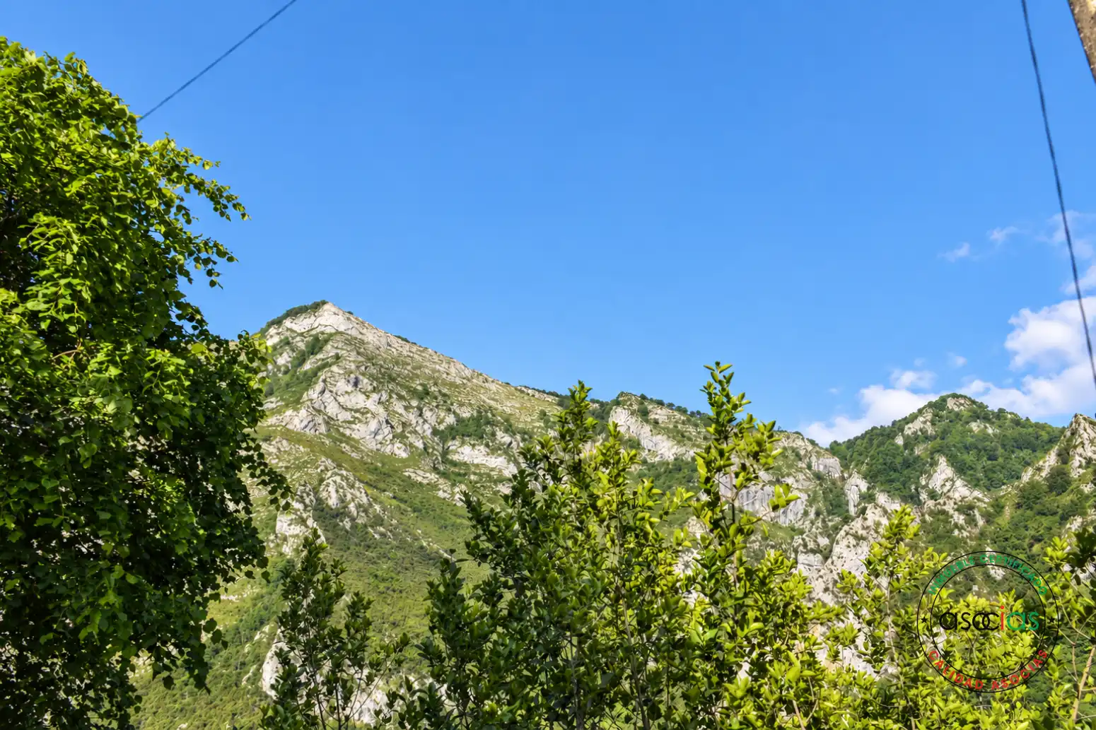 Maison avec terrasse à vendre à Ponga - San Ignacio /  Ponga 101, imagen 38
