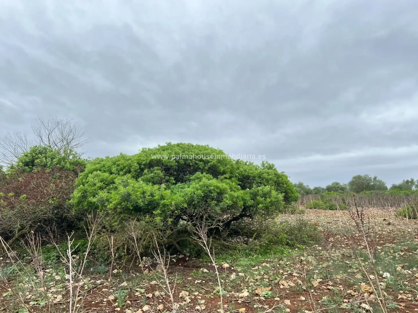 Residencial en venta en Ariany