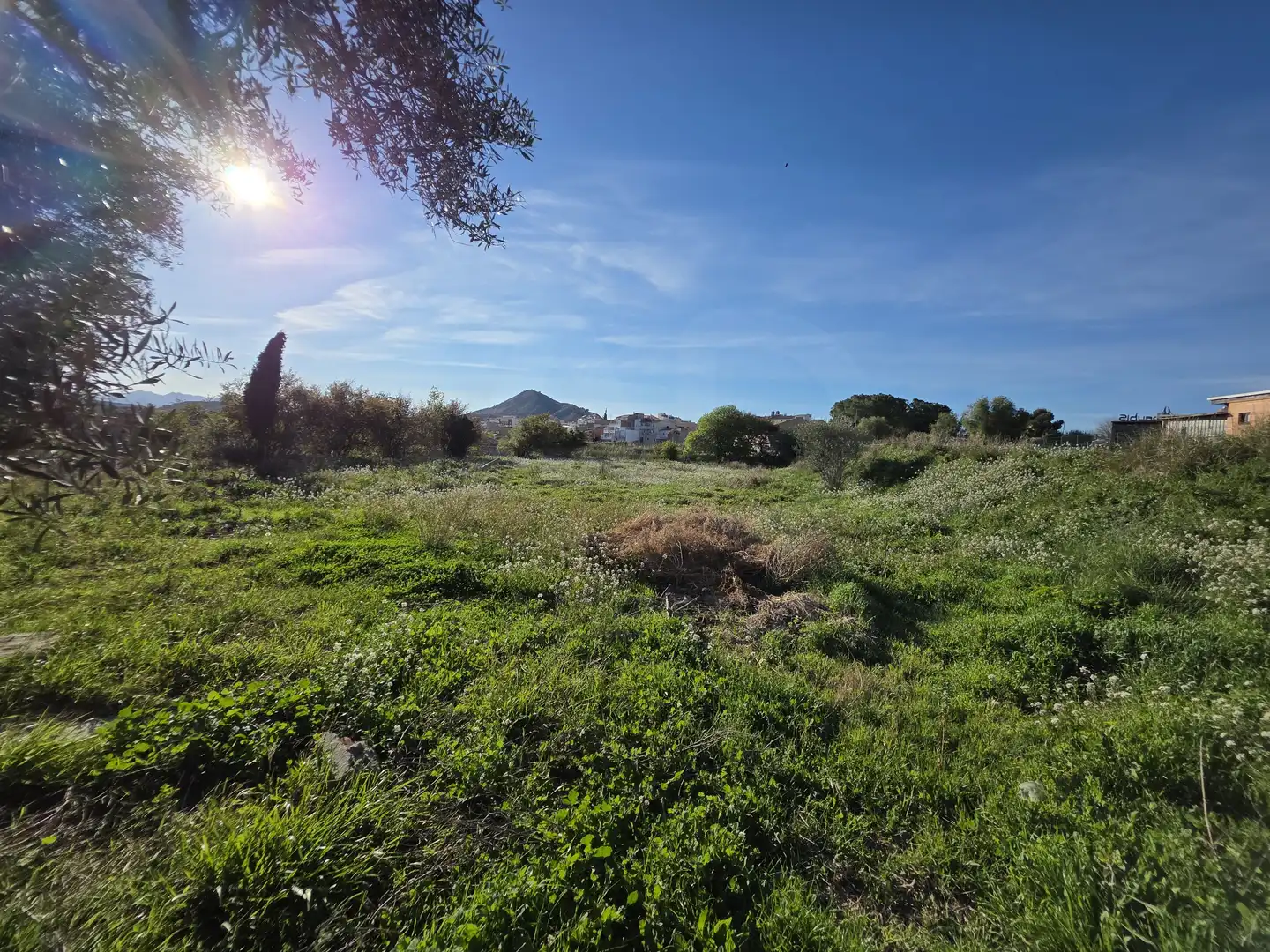 Terreny rústic en venda a Calasparra, imagen 6