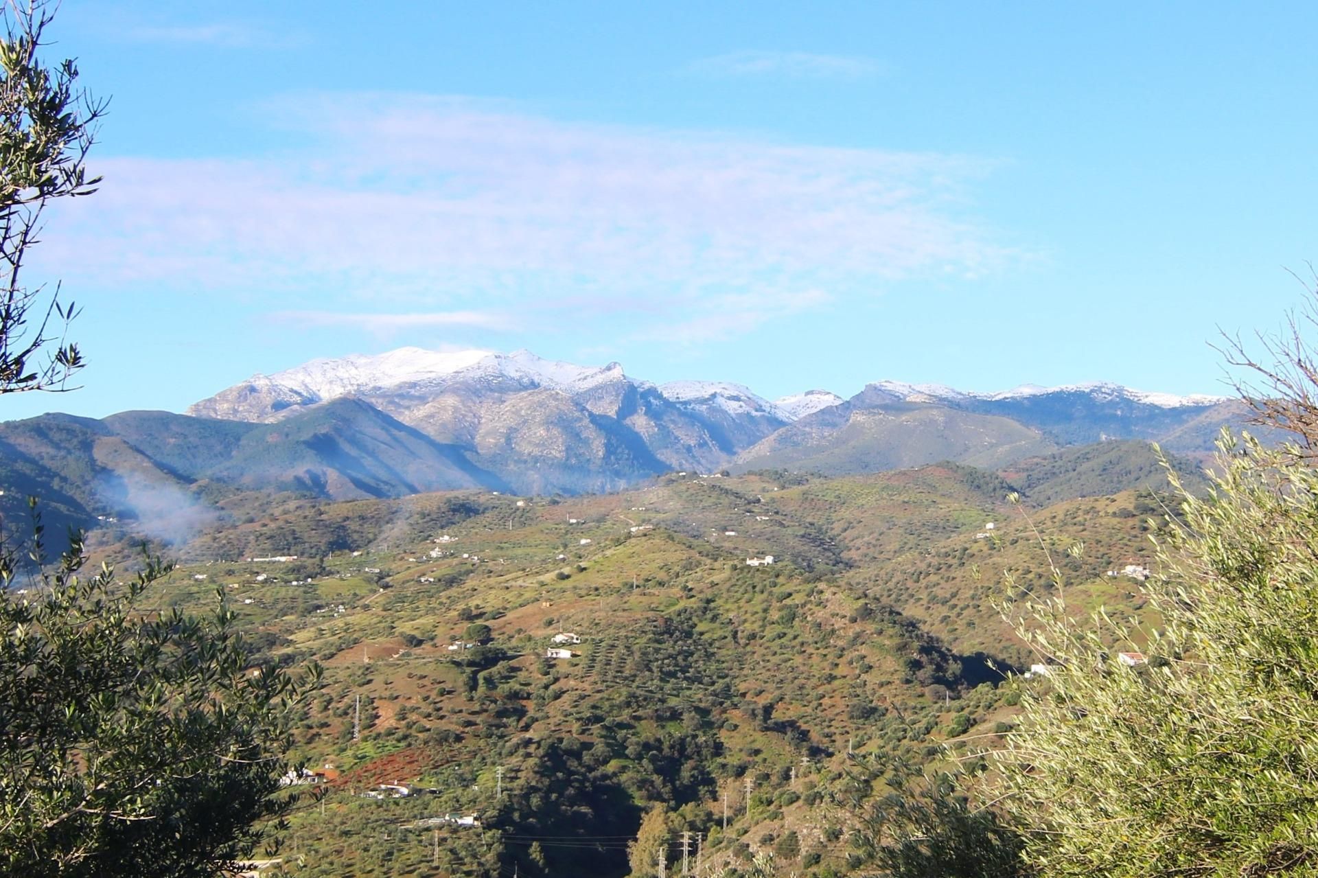 Residential for sale in  Polígono 8 Parcela 193 LOMA DEL ESPARRAGAL. TOLOX, 8, Tolox