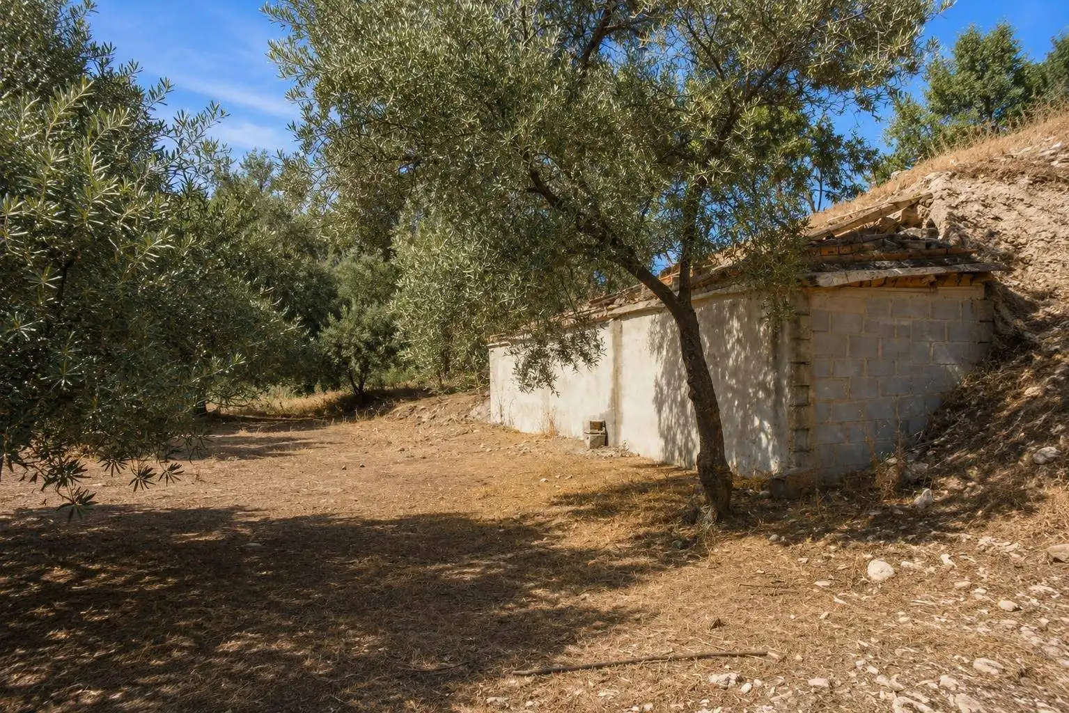 Casa rustica in vendita a Atarfe, imagen 3