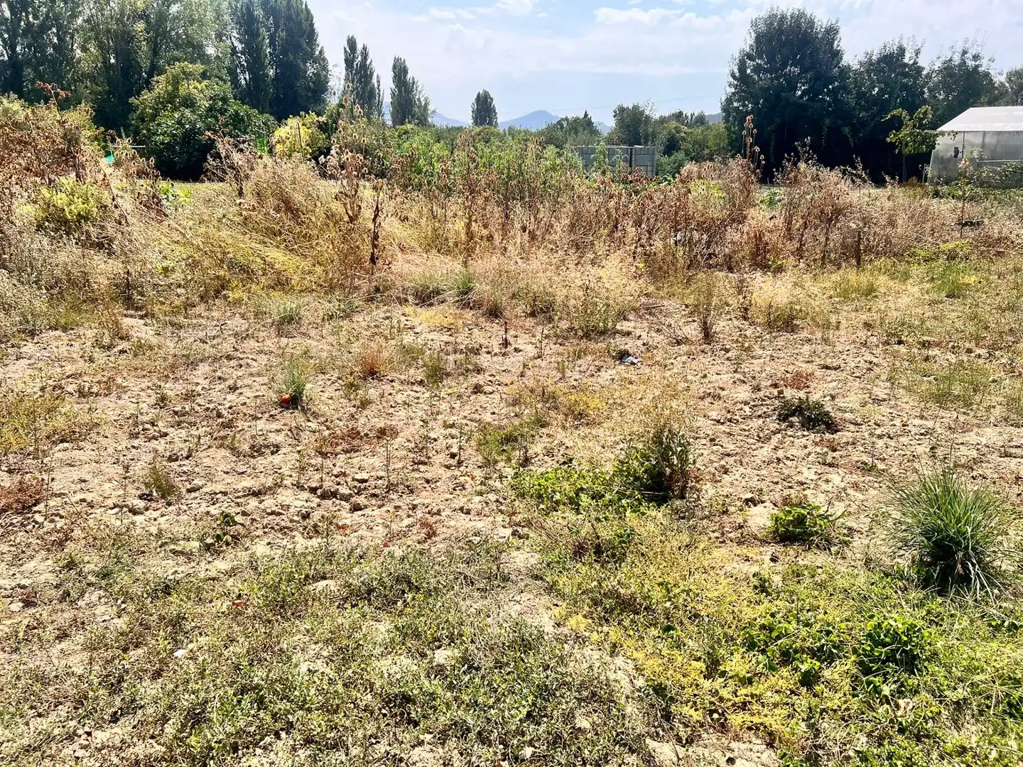 Terreno rústico en venta en Urroz-Villa, imagen 8