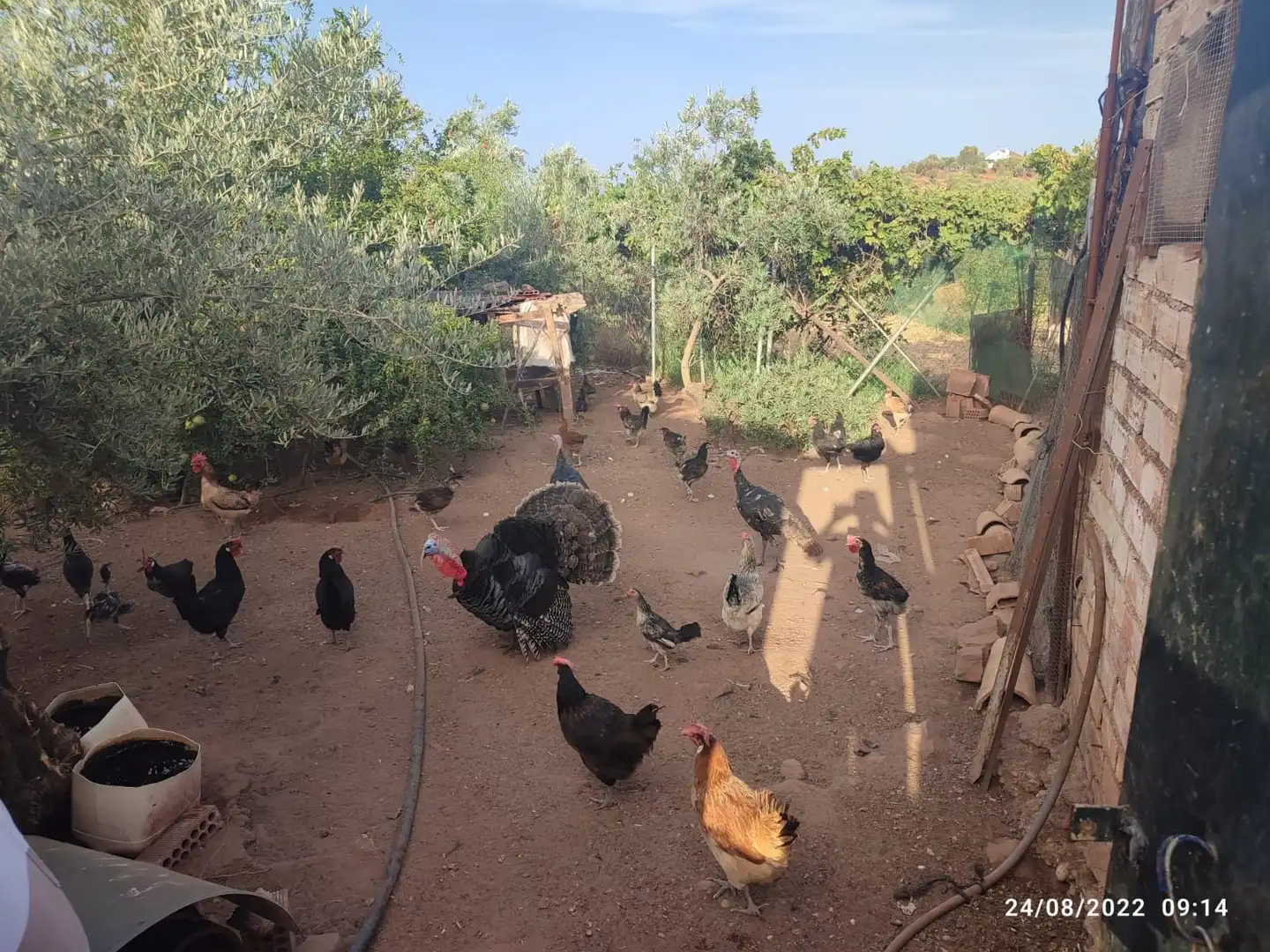 Rustikales Grundstück zum Verkauf in Montoro