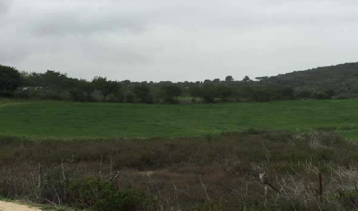 Land for sale in Sierra Del Valle Y La Dorada, San José del Valle