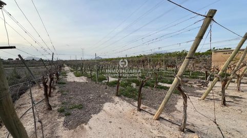 Foto 3 von Grundstücke zum Verkauf in Monforte del Cid, Alicante