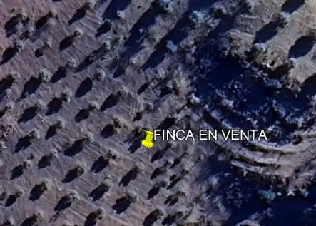 Terreni e lotti in vendita a Quesada, imagen 2