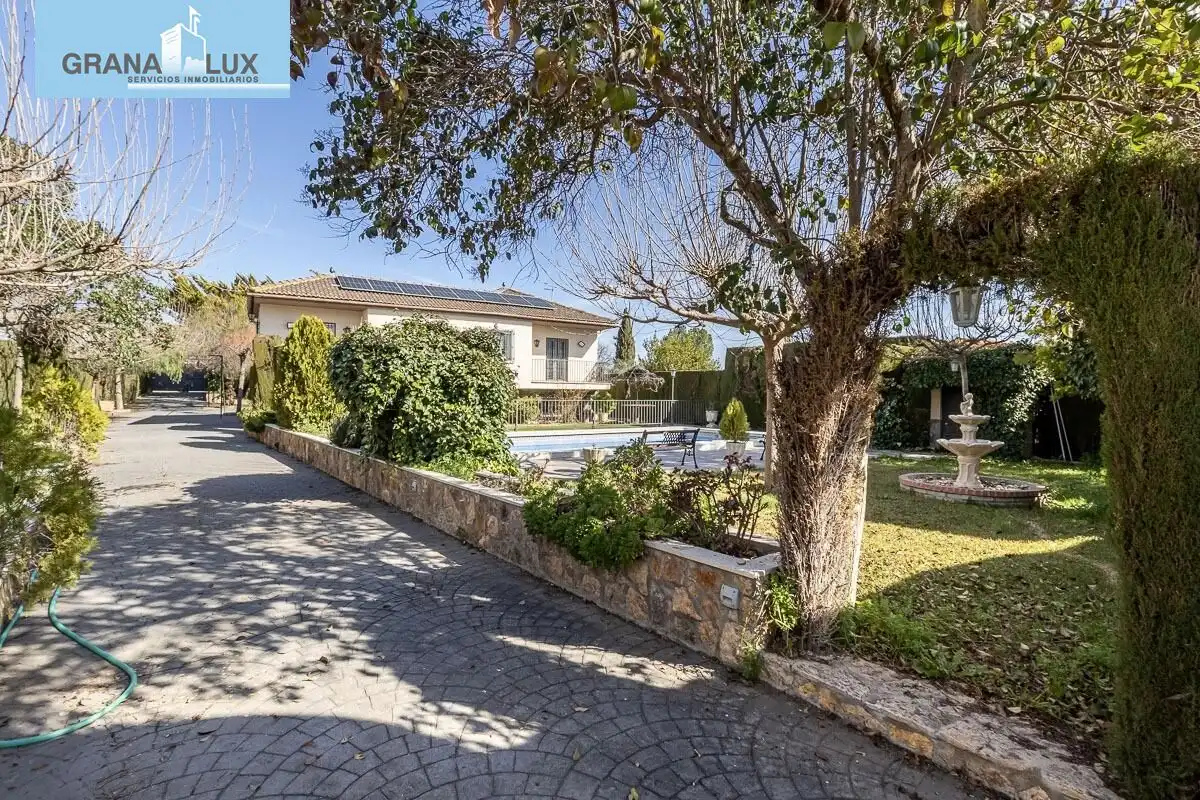 Chalet con piscina en venta en Calle Olmo, imagen 35