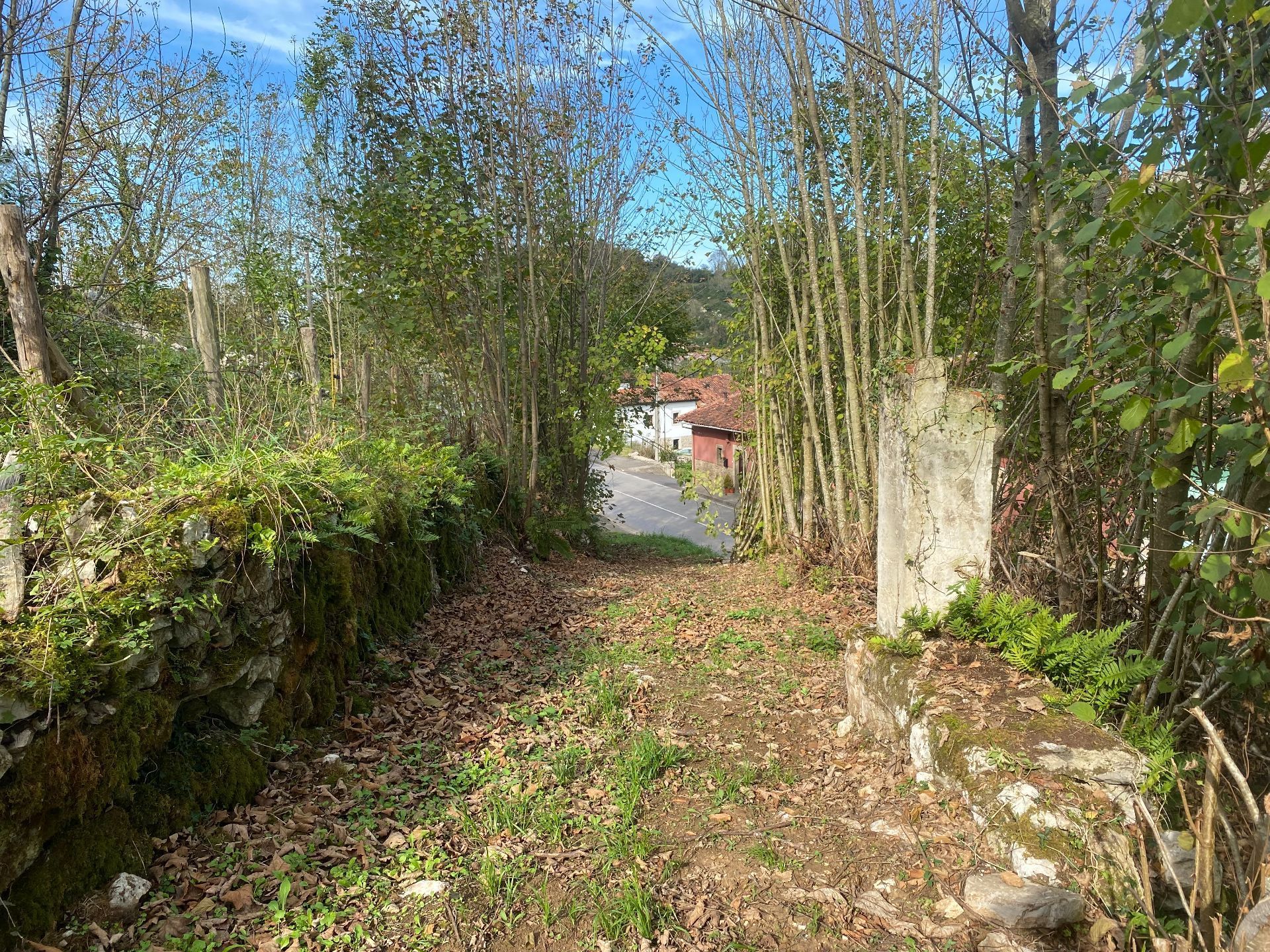 Residential for sale in Villar, Onís