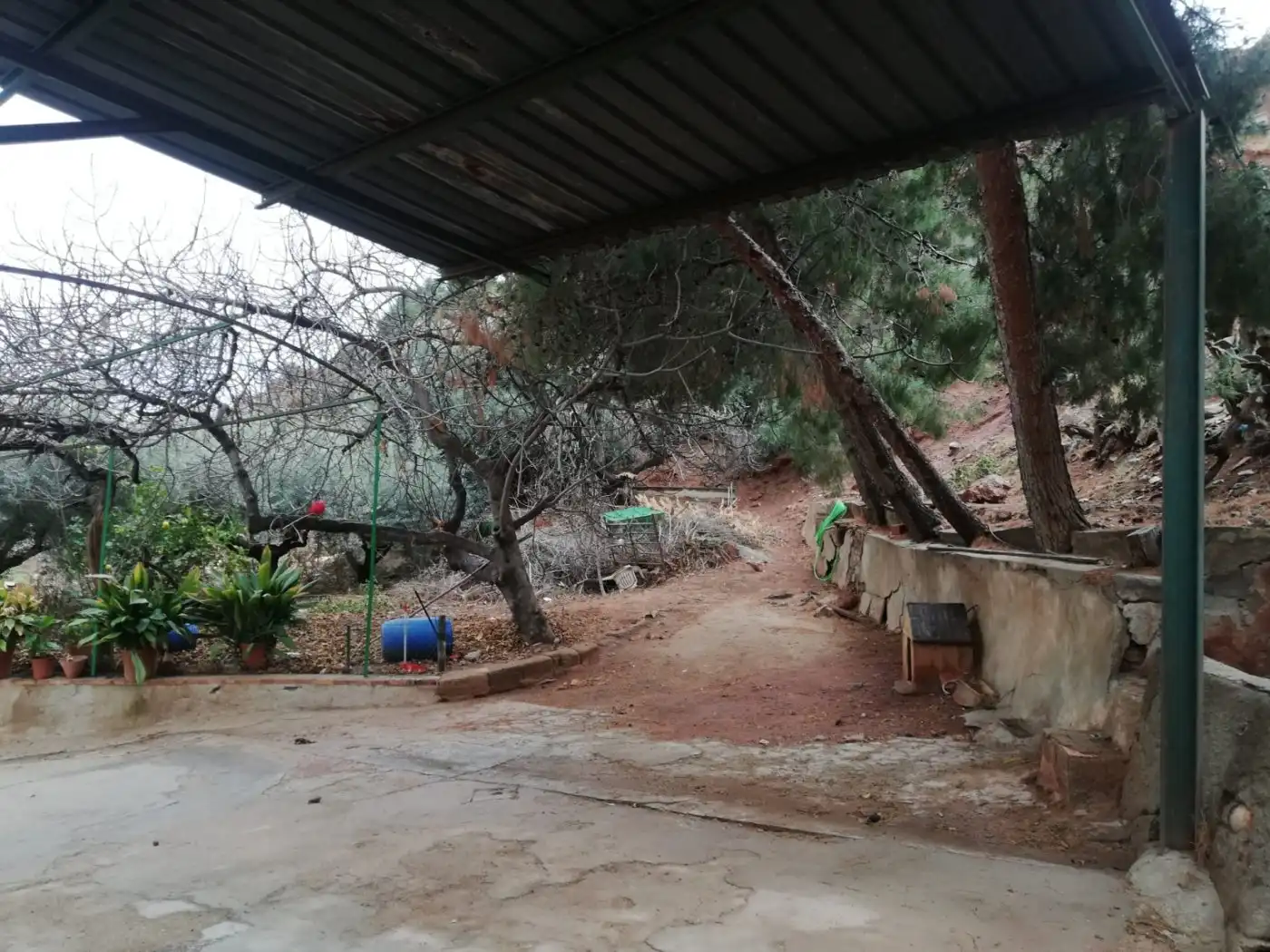 Jardín de Casa o chalet en venta en Lorca con Jardín privado, Trastero y Amueblado