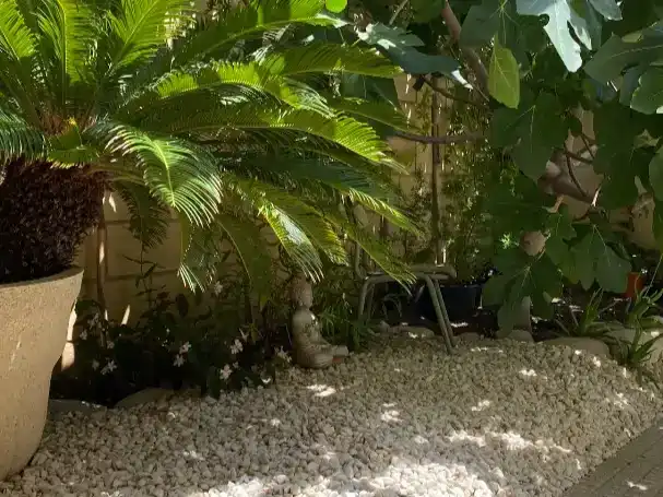 Garden of Flat for sale in Pueblo Español - Coveta Fumá
