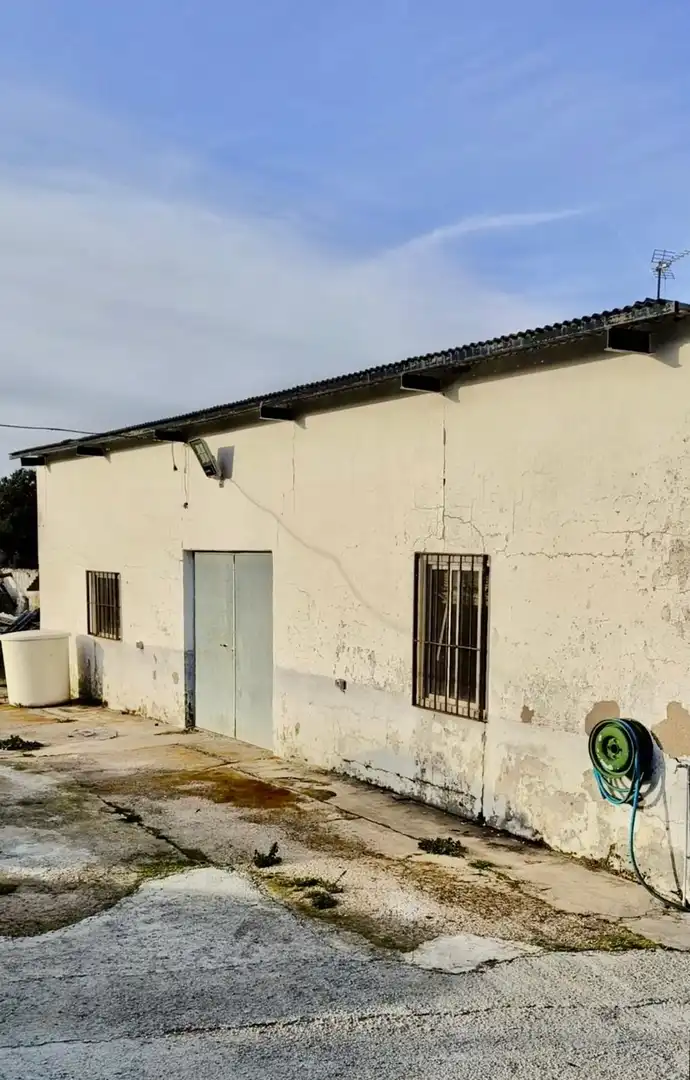 Vista exterior de Finca rústica en venta en Peñarroya-Pueblonuevo con Jardín privado, Trastero y Piscina