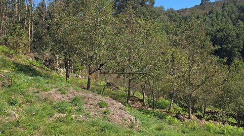 Terreno urbano edificable en Lugar Rascadería, Cotobade Se vende terreno en suelo urbano de 1.324 m en Lugar Rascadería Cotobade,, immagine 5