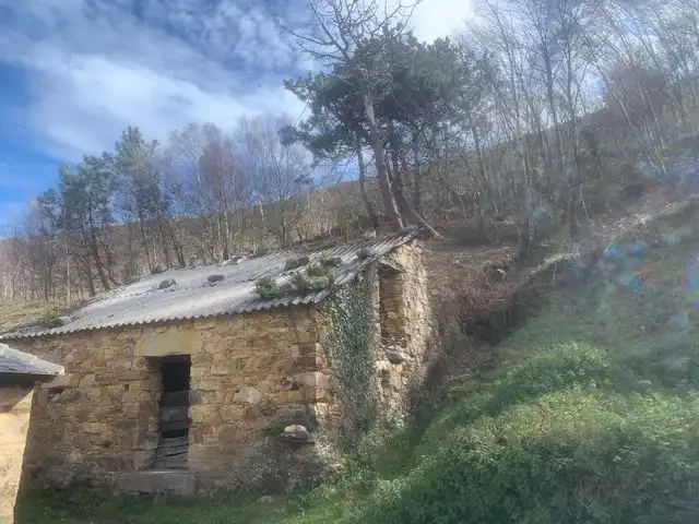 Vista exterior de Finca rústica en venta en Villayón con Terraza y Trastero
