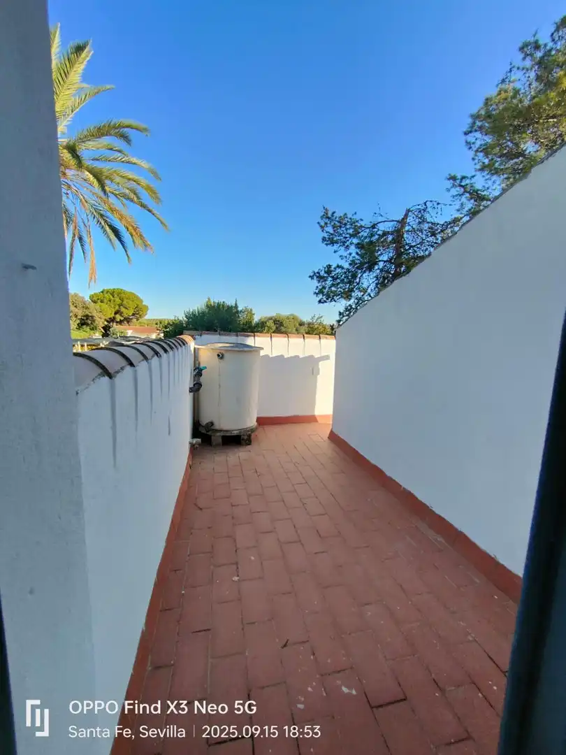 Jardí de Casa o xalet en venda en El Viso del Alcor amb Aire condicionat, Jardí privat i Piscina