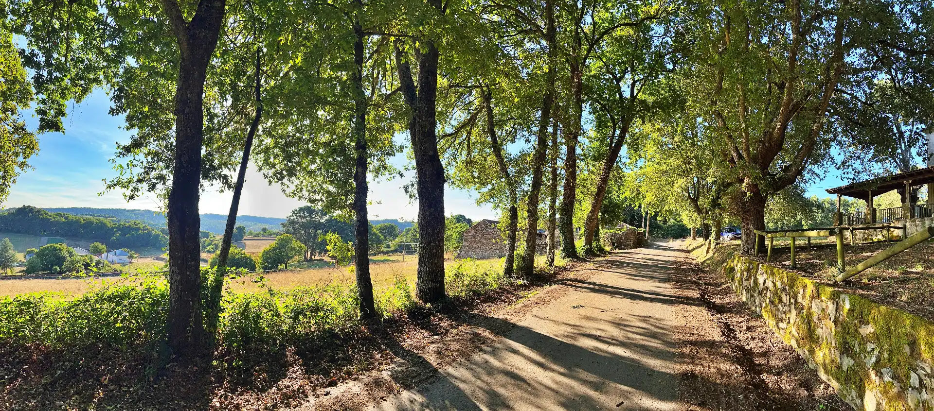 Außenansicht von Haus oder Chalet zum Verkauf in O Saviñao 
