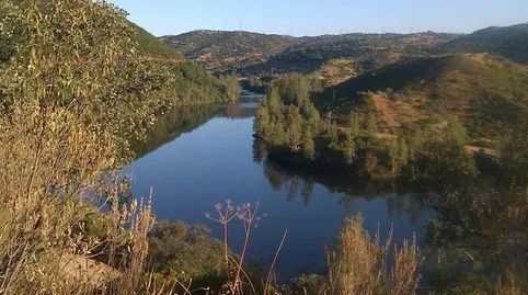 Foto 3 de Terreno en venta en Guillena pueblo, Guillena