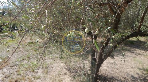 Foto 4 de Residencial en venda a Sant Josep - Zona Hospital, Ontinyent