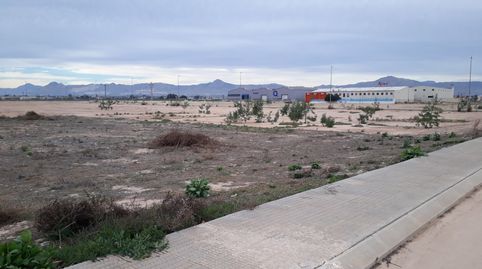 SOLAR INDUSTRIAL EN POLIGONO VIRGEN DEL CARMEN DE COX, immagine 3