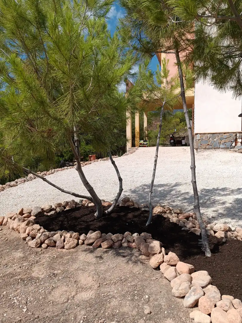 Casa con jardín en venta en Totana, imagen 12